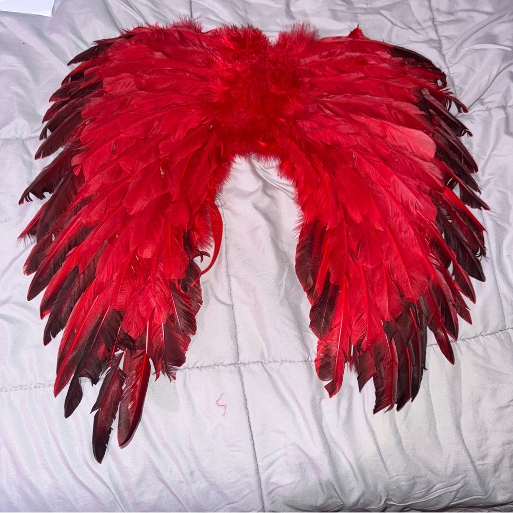Red Angel Wings, 17”w x 20”l
